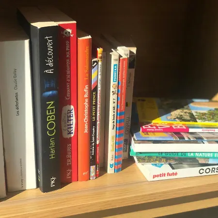 Superbe Sur Le Port, Jacuzzi, Piscine * Porto Vecchio